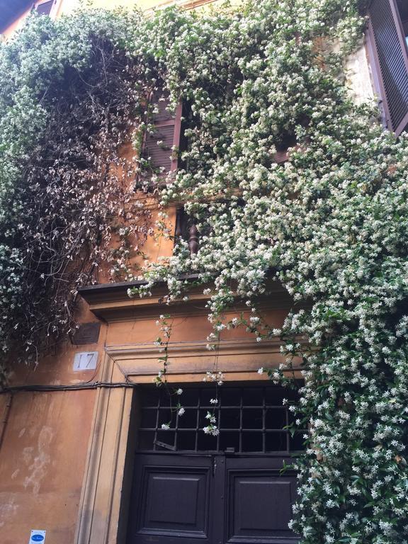 Mgpgroup Guest House Navona 2 ローマ エクステリア 写真